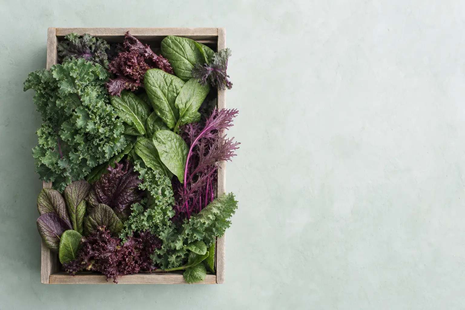 A shallow crate of leafy produce shot from above